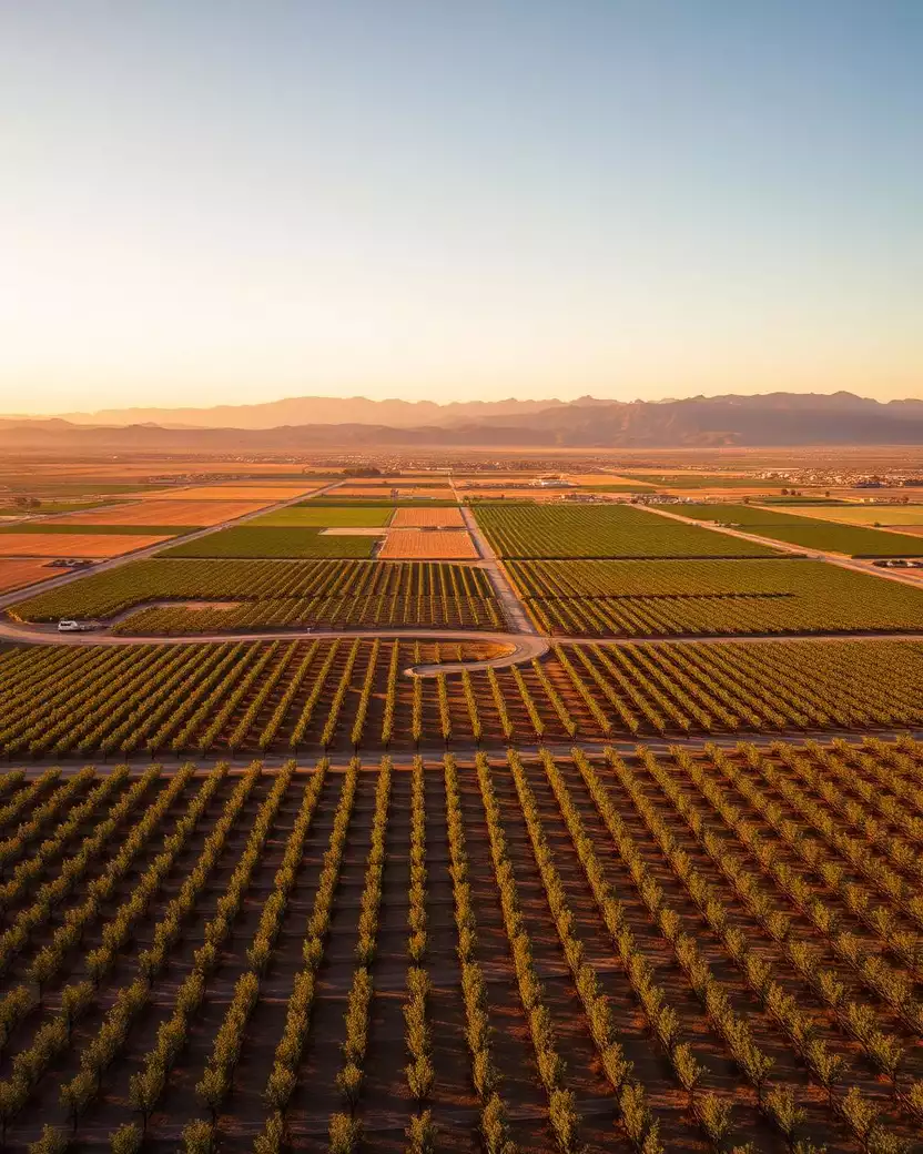 Aerial view of Bakersfield agricultural valley at golden hour